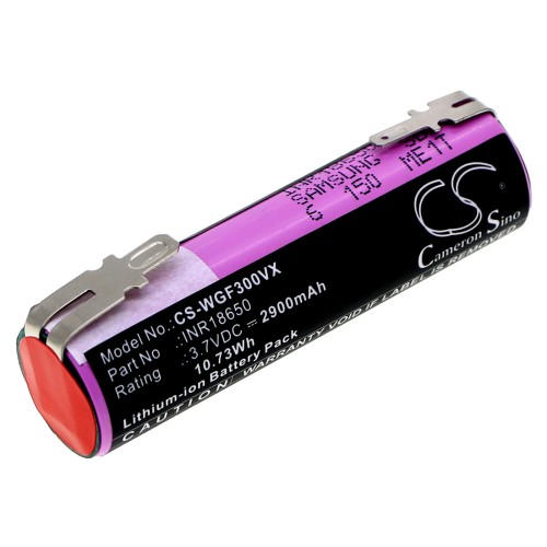 CS-WGF300VX-1.jpg